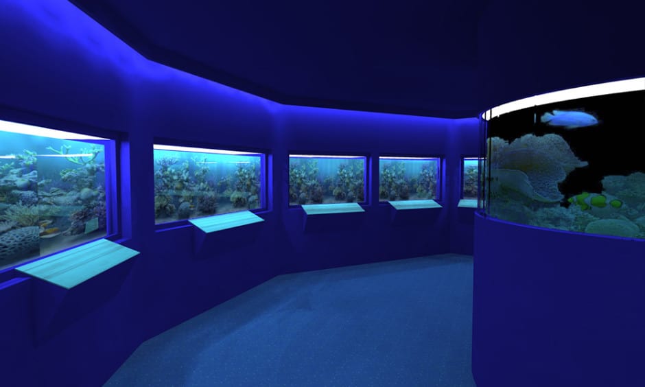 Ocean Aquarium Cyprus