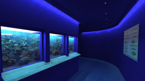 Ocean Aquarium Cyprus