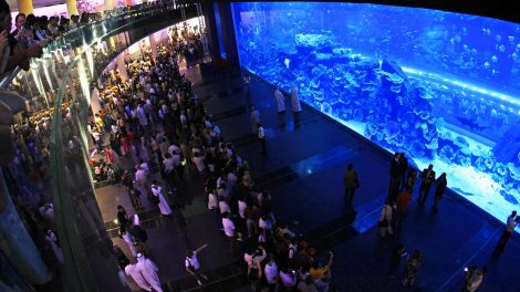 Aqualife provided acrylic panel polishing at the Dubai Mall Aquarium